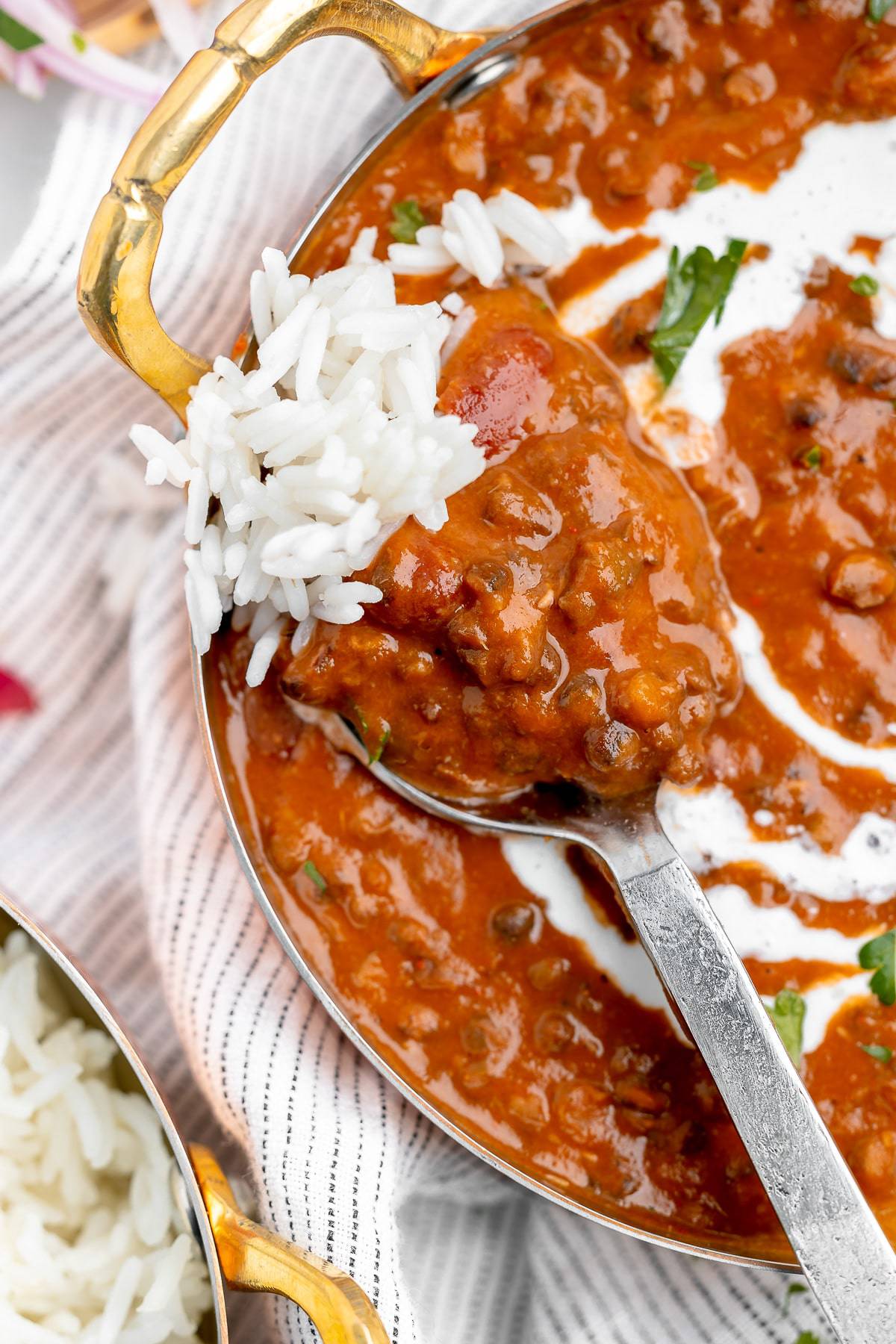 Close up shot of dal makhani on a spoon, with white rice.
