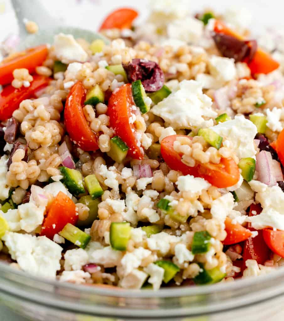 Barley Greek Salad {Instant Pot Barley} The Sassy Foodie