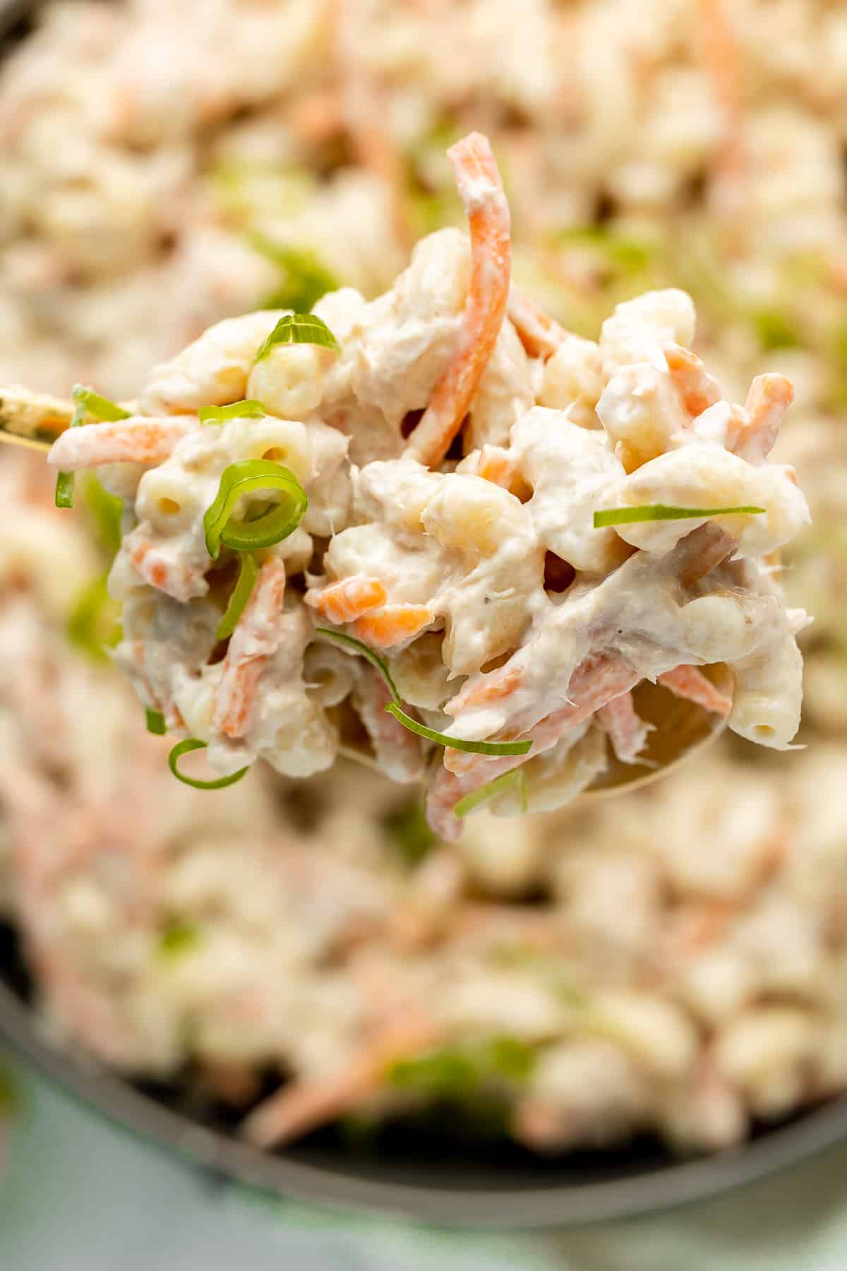 A spoonful of tuna mac salad, close up.