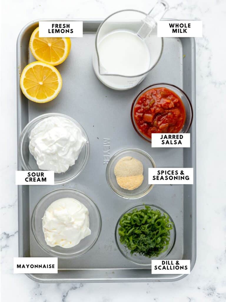 Salsa Ranch Dressing & Dip – The Sassy Foodie